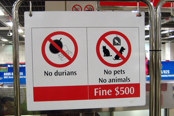 Durian: król owoców Tajlandii, smak i zapach
