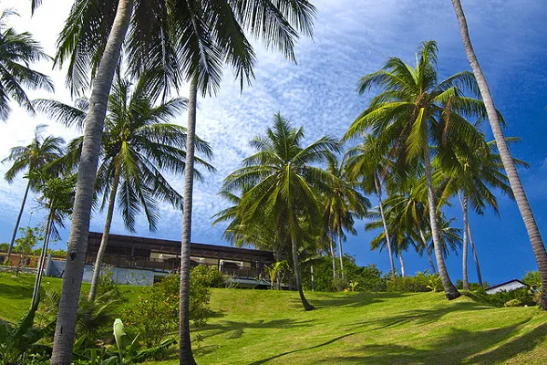 Tajlandia | Koh Samui - „wyspa kokosowych drzew” 