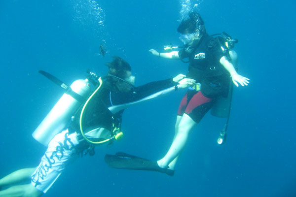 Ko Phi Phi: Maya Bay, rafy, Ko Phi Phi Don i Le